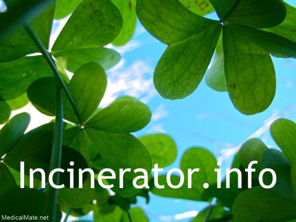 incinerator.info
