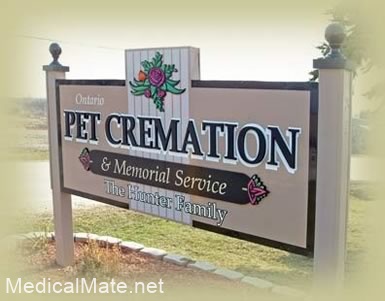 animal cremation
